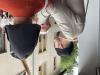 IMG 3379